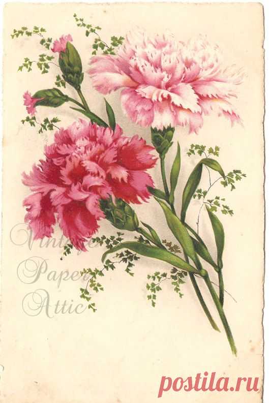 Pinterest