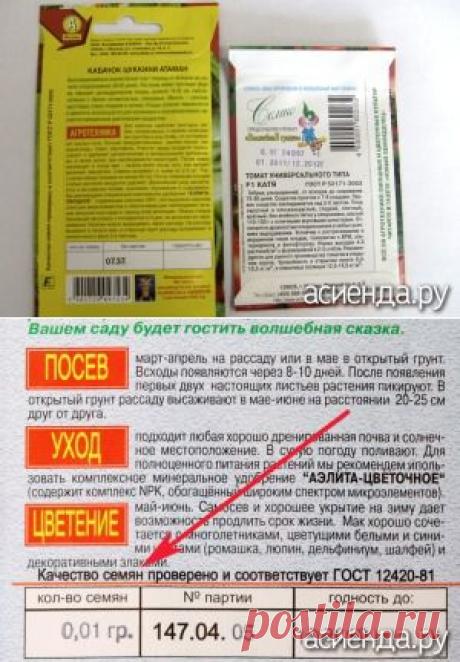 Зашифрованные семена: Группа Практикум садовода и огородника