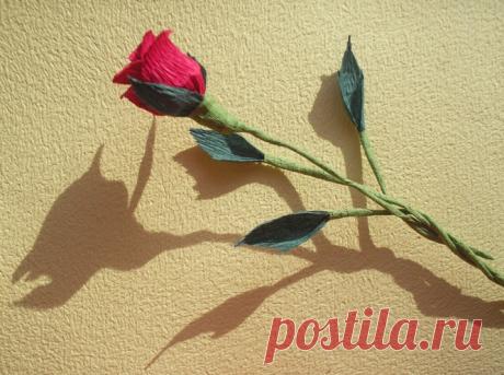 Что можно сделать из гофрированной бумаги. | ИЗ БУМАГИ СВОИМИ РУКАМИ