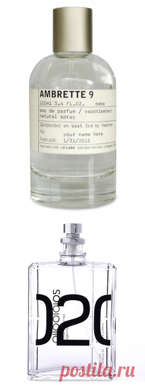 амбра в парфюмерии, запахи с амброй, амбретта и амброксан в нишевой парфюмерии, ароматы с амбреттой, духи с амброксаном