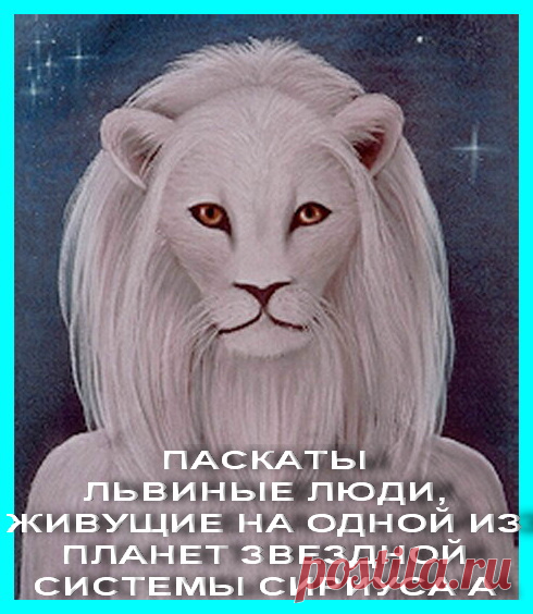 ПРЕДСТАВЛЯЮ: ПАСКАТЫ- РАСЫ КОШАЧЬИХ… ПРАРОДИТЕЛЬСКАЯ ЦИВИЛИЗАЦИЯ! — КОСМИЧЕСКИЕ УЧИТЕЛЯ. ПРАРОДИТЕЛЬСКИЕ ЦИВИЛИЗАЦИИ