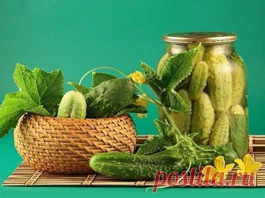 Вкусные маринованные огурчики в сладком маринаде