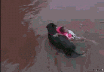 Популярное – Google+