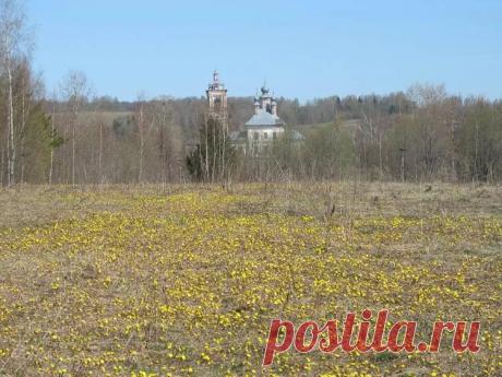 Село спас Верховье Судиславского района Костромской области: 11 тыс изображений найдено в Яндекс.Картинках
