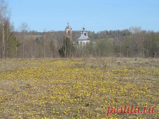 Село спас Верховье Судиславского района Костромской области: 11 тыс изображений найдено в Яндекс.Картинках