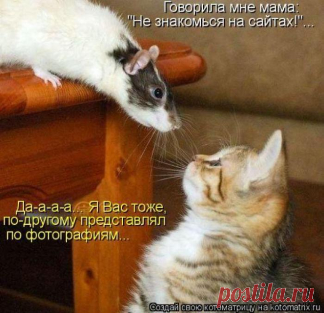 Интернет-знакомство. | KotoMail.ru