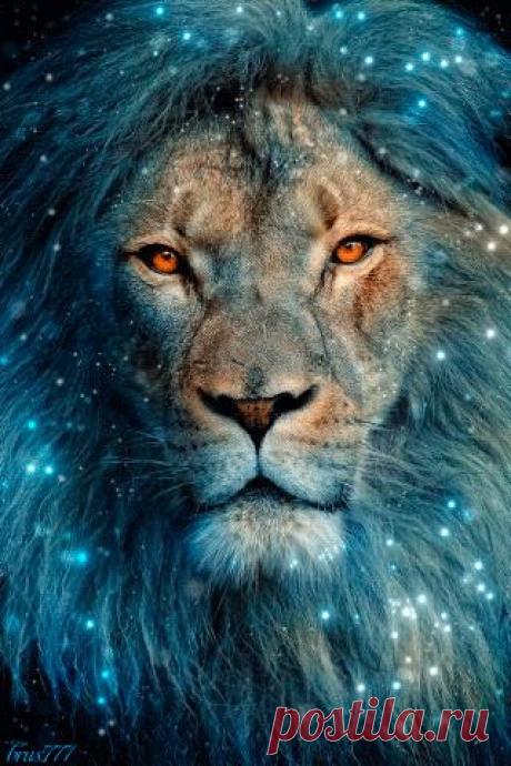 Галина Веселовская – Google+