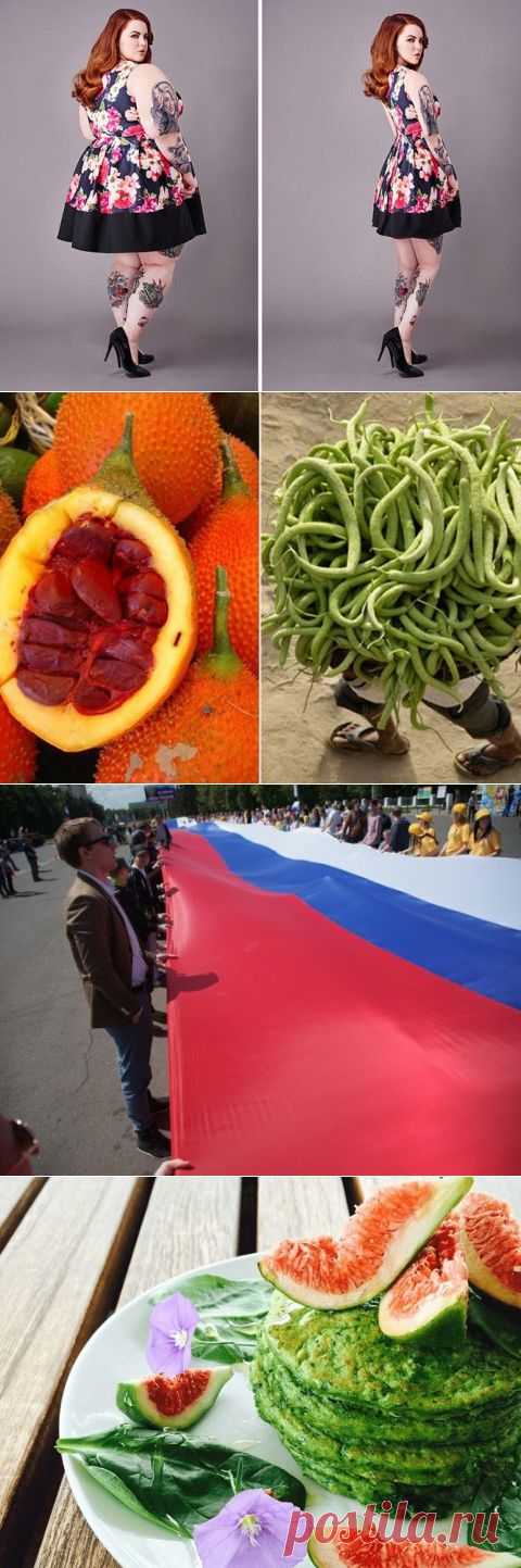 Авивас