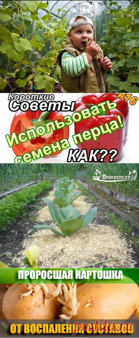 (52) Одноклассники