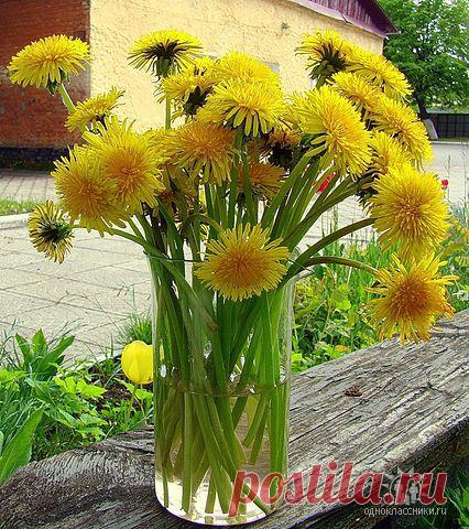 ✿*✿* ВЕРНИСАЖ *✿*✿
Ирина IRINA