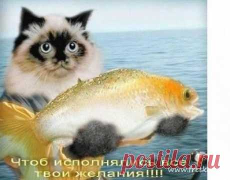 Поздравления - Страница 18