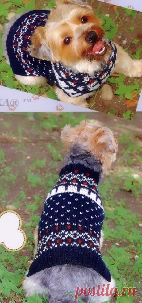 УТЕПЛЯЕМ ЛЮБИМОК - ВЯЖЕМ БЕЗРУКАВКУ СПИЦАМИ / Всё из мира рукоделия (изучаю и делюсь различными техниками и видами рукоделия)