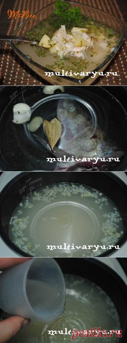 Уха из судака в мультиварке » Мультиварка - легко готовить, вкусно есть! | Мультиварка - легко готовить, вкусно есть!