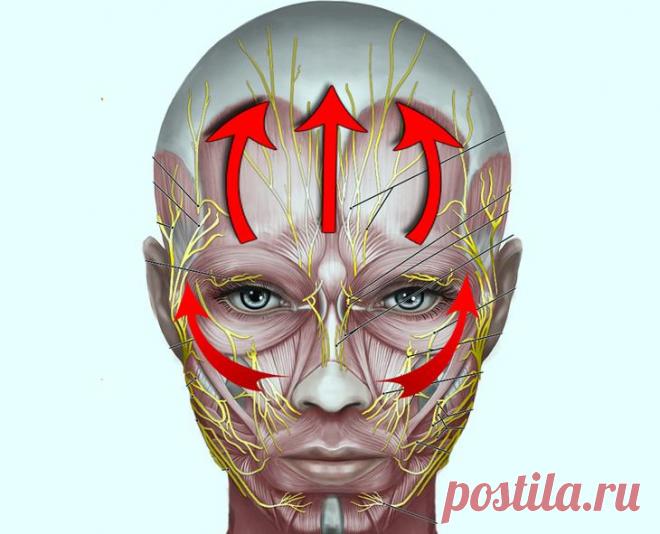 Гимнастика для лица: 10 минут в день – минус 10 лет 
Чтобы мышцы лица всегда были в тонусе, нужно их постоянно тренировать, как и тело, когда занимаешься спортом. Существует специально разработанная гимнастика для лица — фейсбилдинг, комплекс упражнени…