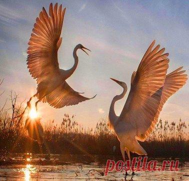 Есть моменты, в которых мы живем бесконечно.                                                                                                А затем - они бесконечно живут в нас.