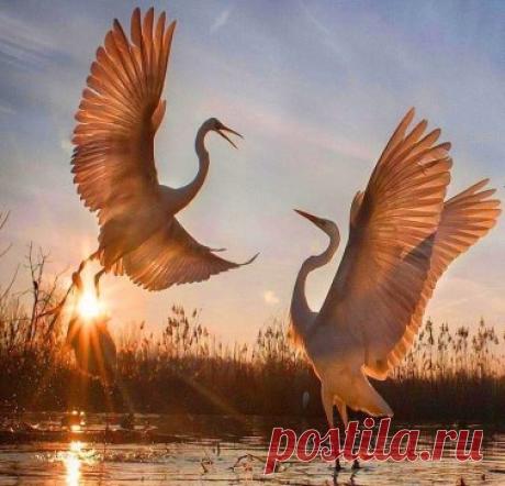 Есть моменты, в которых мы живем бесконечно.                                                                                                А затем - они бесконечно живут в нас.