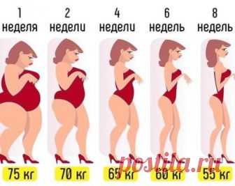 Безуглеводная диета.  Ожидаемая потеря веса около 15 кг без возврата веса + очищение организма за 8 недель. Завтрак: Вареное яйцо, зеленый чай с ломтиком сыра. Второй завтрак: Тертое зеленое яблоко с морковью. Для большего эффекта можно добавить немного меда, имбиря или корицы. Обед: Отварная куриная грудка...