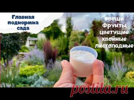 ГЛАВНАЯ ПОДКОРМКА САДА в августе/сентябре. Удобрение на любой кошелёк!