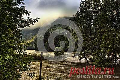 Stock Photos, Royalty-Free Images & Video Footage By Dreamstime Stock Photography