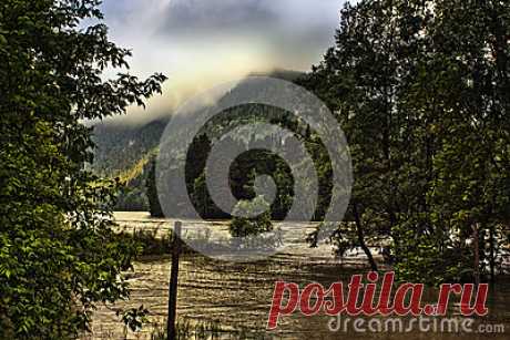 Stock Photos, Royalty-Free Images & Video Footage By Dreamstime Stock Photography