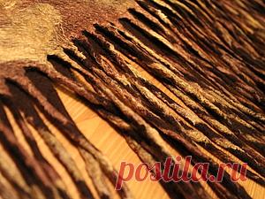 Как сделать красивые кисти