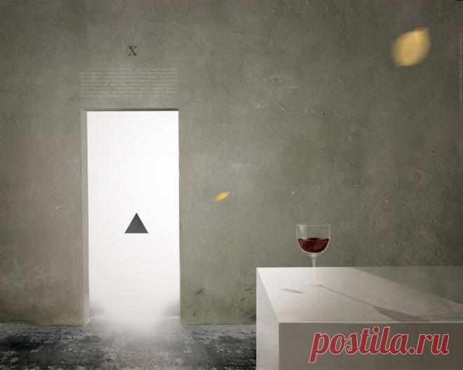 Направление развития общества. Созревший плод: