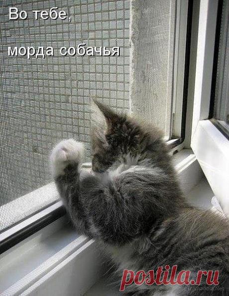 Мой Мир@Mail.Ru
