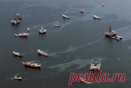 Раскрыто неожиданное влияние солнечного света на нефтяные пятна. Ученые Океанографического института Вудс-Хоул выяснили, что около десяти процентов нефти, оказавшейся в Мексиканском заливе после катастрофы на платформе Deepwater Horizon, разложилось в морской воде под действием солнечного света. Исследователи оценили эффективность фоторастворения с помощью светодиодных реакторов.