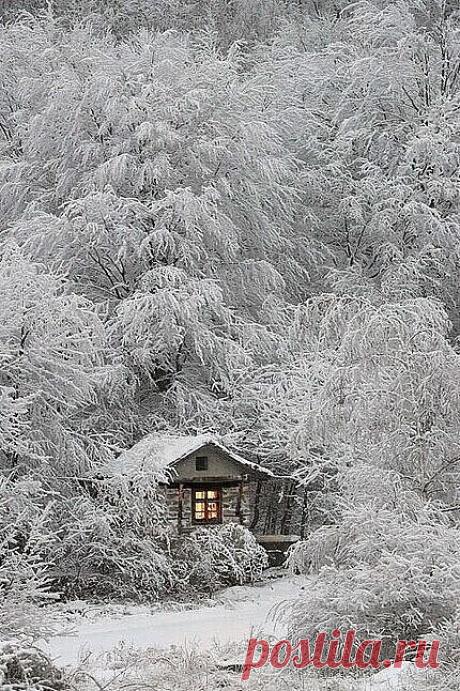i (430×646)