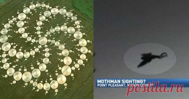 Самые популярные мифы - правда и вымысел Наше время не менее древности богато на легенды, сплетни и слухи. Особенно богат на них интернет - истории о загадочных и странных существах появляются в сети почти каждый день. Некоторые из этих исто...