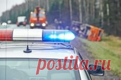 3 июля отмечается 