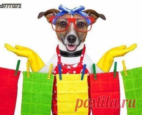 СОВЕТЫ ДОМОХОЗЯЙКАМ