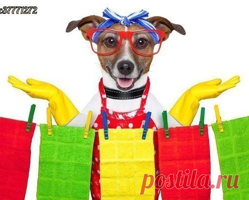 СОВЕТЫ ДОМОХОЗЯЙКАМ