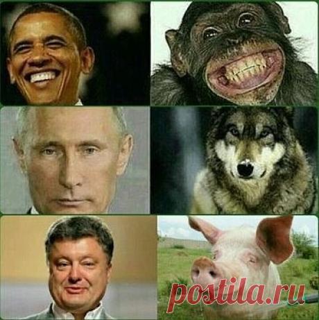 Нашла в контакте . Ржали все