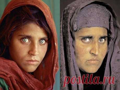 Шарбат Гула в 1984 и 17 лет спустя. Афганске замечаешь. / Интересное в IT