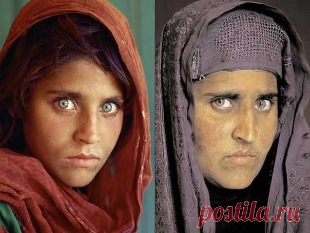 Шарбат Гула в 1984 и 17 лет спустя. Афганске замечаешь. / Интересное в IT