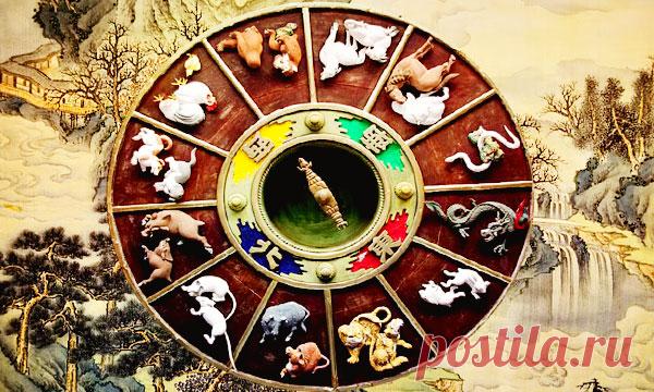 По-восточному мудро - характеристика знаков зодиака по Китайскому зодиаку