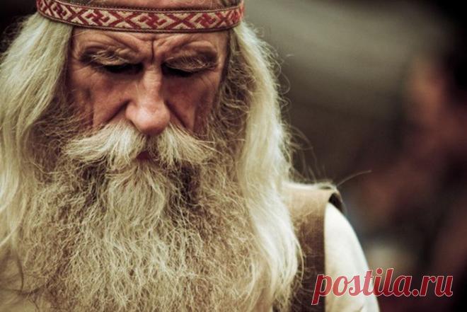 Откуда пошло выражение «ежу понятно»?