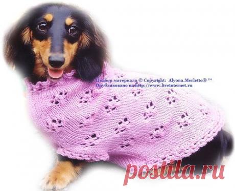 Одежда для домашних животных | Записи в рубрике Одежда для домашних животных | ЯРМАРКА_РУКОДЕЛИЯ