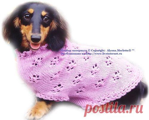 Одежда для домашних животных | Записи в рубрике Одежда для домашних животных | ЯРМАРКА_РУКОДЕЛИЯ