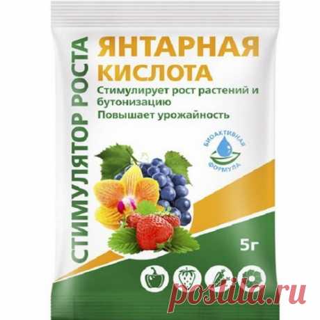 Это самая дешёвая подкормка растений в огороде! Только делайте это правильно! Подкормка борной и янтарной кислотой для обильного урожая | Удачный сад | Дзен