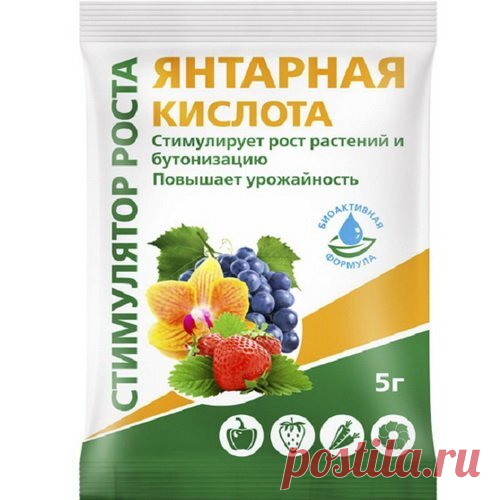 Это самая дешёвая подкормка растений в огороде! Только делайте это правильно! Подкормка борной и янтарной кислотой для обильного урожая | Удачный сад | Дзен