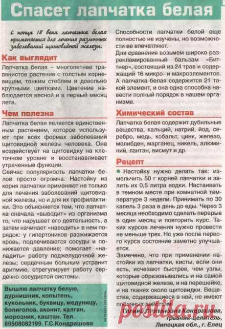 Лапчатка белая 50г, купить на Алтае