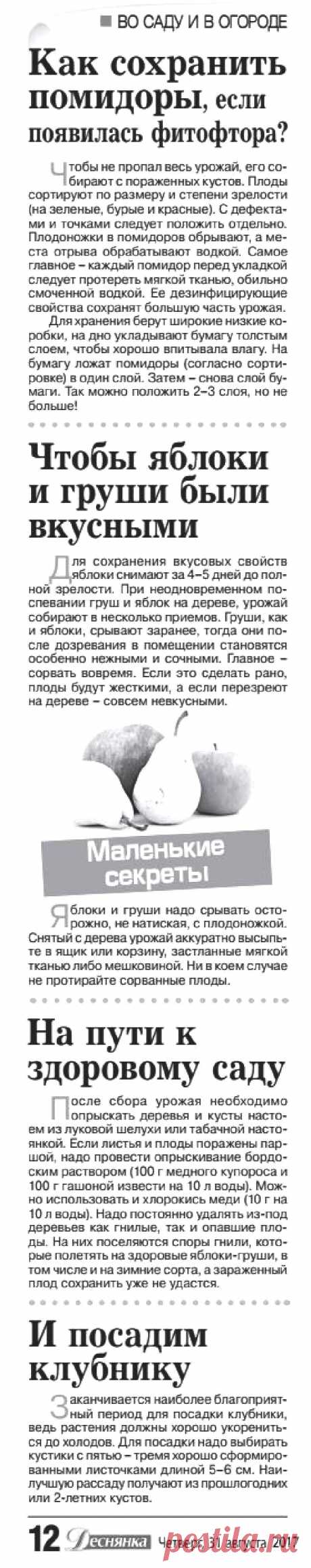 Дачные советы - сентябрь