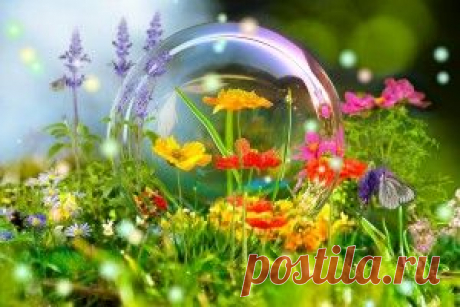 Прямой эфир - обои на рабочий стол, которые смотрят и ищут сегодня