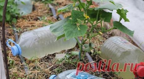 Полезное применение пластиковых бутылок на даче и в огороде (Часть 13)