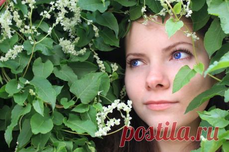 Вам сказку новую несу...
Вы любите бывать в лесу?
Лесных в нём не встречали Дев,
Что прячутся  среди дерев?
Приступаю я к рассказу.
Сейчас - невидимы для глазу.
А в старину было не диво - 
Одета ярко и красиво,
Цветок  заколот  в волосах,
Хоть  и  жила в густых лесах,
В деревню приходила Дева.
И если полюбить сумела
Из деревни кузнеца -  
Она не шла с ним до венца.
В любви взаимность не просила,
В дар от неё  давалась  сила,
Оберегала от несчастья.
Поведала Вам сказки част...