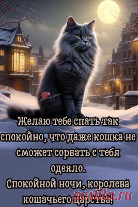 "Спокойной ночи" - картинки зимние женщине(56шт.)