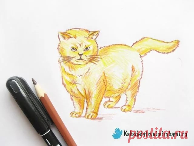 «Как нарисовать кошку цветными карандашами: поэтапный мастер-» — карточка пользователя slavashishaev в Яндекс.Коллекциях