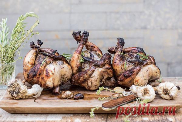 10 рецептов сочной курицы, запеченной целиком 



При приготовлении говядины не произойдет ничего страшного, если степень прожарки мяса окажется чуть ниже или выше желаемой. К курице же подобные вольности не применимы: курица с кровью опасна для …